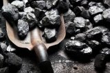 Закупка угля марки &laquo;Г&raquo; в США может уничтожить украинские шахты, - Волынец