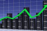&laquo;Укртранснафта&raquo; выставляет 5 тысяч тонн нефти на торги
