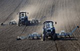 В Украине подсчитали неформально занятое население