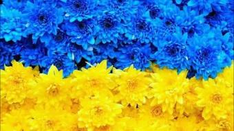 Национальный бренд Украины значительно вырос в цене