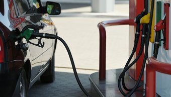У ФАС РФ не чекають зростання цін на бензин після підвищення акцизу