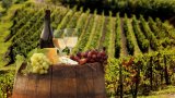 Українські винороби дійшли згоди у перейменуванні продукції &ndash; Укрвинпром