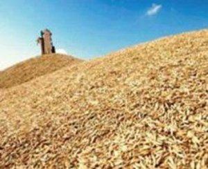 Митниці Міндоходів оформлюють експорт зерна за спрощеною процедурою