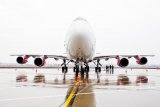 Українська авіакомпанія повертається на ринок під новим брендом