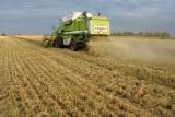 ЄС став найбільшим у світі експортером продовольства