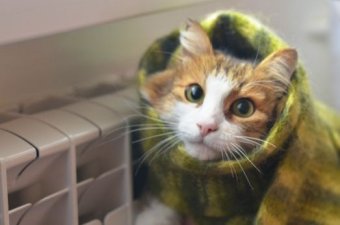 Опалювальний сезон фактично зірваний &ndash; експерт