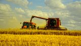 У Мінагро оцінили підтримку у 6,3 мільярда на 2018 рік та готові до нових звершень
