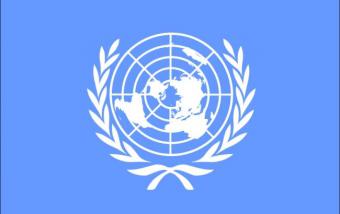 ООН: в офшорах накопичилося до 25 трлн доларів, 80% яких не задекларовані