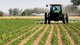 Фермеры смогут получить госпомощь уже во втором полугодии