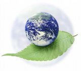 В Україні необхідно створити доктрину екологічної безпеки, - Інститут Голди Меїр