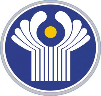 КМУ отменил распоряжение об обеспечении председательства Украины в СНГ в 2014 г.