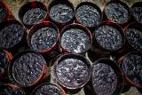 Укртранснафта домовилася про постачання нафти в Угорщину