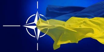 NATO Proposes That Ukroboronprom Should Participate in Its Tenders