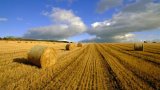Мораторій на землю може коштувати Україні 2-75 тисяч євро на людину