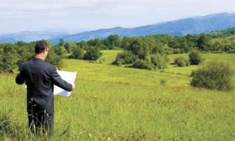 Міністр агрополітики розповів, кому дозволять купувати землю в Україні