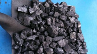 Чиновницю з Казахстану оштрафували на 9 млн тенге за отримання хабаря м’ясом і вугіллям