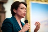 Навколо шкіл крутяться бізнеси - Гриневич