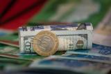 Данные об открытии межбанковского валютного рынка 3 июня 2016