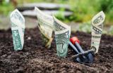 Platform for Attracting Investments in Agricultural Projects Launched in Ukraine