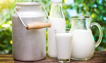 Рост мировых цен на продукты на украинский рынок не повлияет