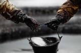 Ціни на нафту знижуються на тлі повідомлень з Ірану