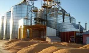 Уряд ініціює скасування «внутрішньої» сертифікації зерна