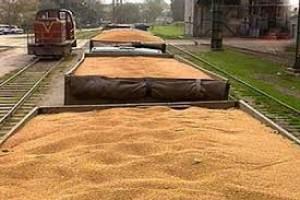 Уряд здешевив послуги на переміщення зерна