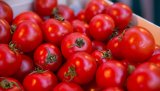 РФ допускає в майбутньому постачання турецьких томатів тільки великих підприємств
