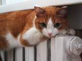 Які послуги закладені для українців у тарифах на опалення