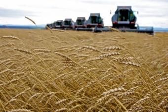Сумма продажи аграрных госпредприятий может достичь 10 млрд грн., - Павленко