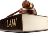 У Южаниной разработали свой проект закона о Службе финрасследований