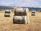 Кутовой: мораторий на продажу земли на скорую руку снимать не будут