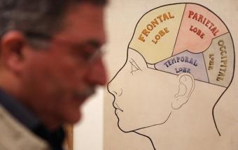 Ученые нашли способ улучшения памяти