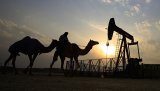 Россия и Кувейт создадут рабочую группу для сотрудничества в энергетике