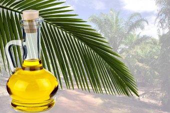 БПП, «радикали» та Опоблок заявили про готовність заборонити пальмову олію