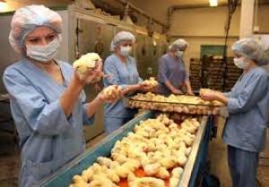 Казахстан временно приостановил импорт курятины из Украины