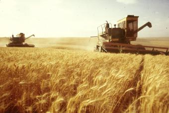 Мінфін України наполягає на знятті з 2015 р. режиму звільнення від ПДВ експорту зерна