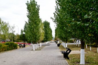 У столиці Казахстану Астані хочуть запровадити паспорта для дерев