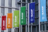 Німецький хімічний гігант відкриває виробництво в Україні