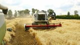 Фонд держмайна передумав продавати Державну зернову корпорацію