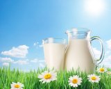 В России запретили белорусские молочные продукты