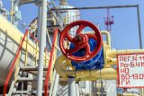 Правительство вернулось к финансированию &quot;Нефтегаза&quot; из государственного бюджета, - эксперт Герус