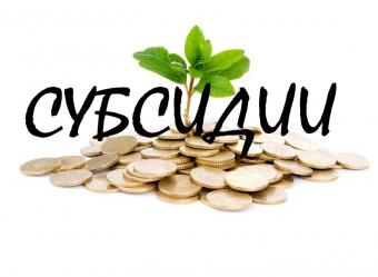 Скільки Україна витратила на субсидії в 2016 році