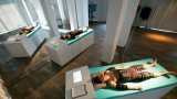 Нидерландские ученые намайнили несколько криптовалют, используя только тепло человеческого тела