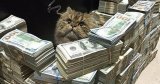 Instagram запустил платежи внутри приложения