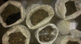 В Ровно полиция изъяла почти 140 кг янтаря
