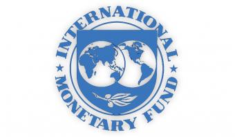 З 1 вересня 2015 р. в ДФС працюватиме постійний радник МВФ