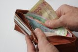 Програмісти, медики, аграрії: кому платитимуть вищі зарплати
