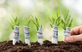 Рабочая группа по земельной реформе обсуждает продажу госземель как первый этап запуска рынка