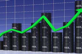 «Укртранснафта» виставляє 5 тисяч тонн нафти на торги